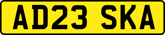 AD23SKA