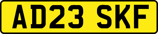AD23SKF