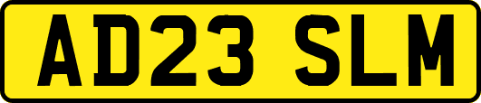 AD23SLM