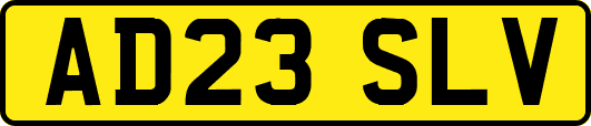 AD23SLV
