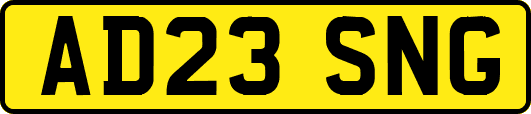 AD23SNG