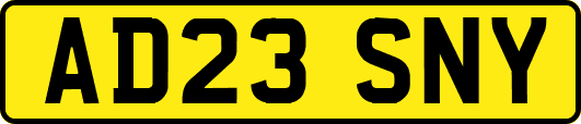 AD23SNY