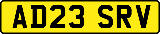 AD23SRV