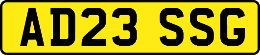 AD23SSG