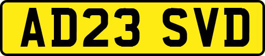 AD23SVD