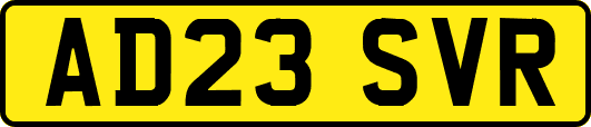 AD23SVR
