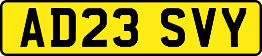 AD23SVY