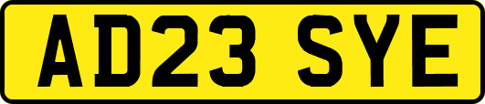 AD23SYE