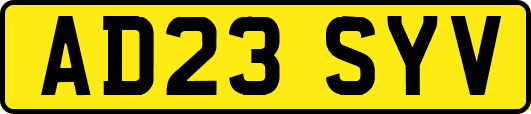AD23SYV