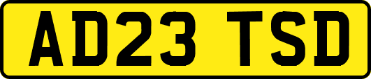 AD23TSD
