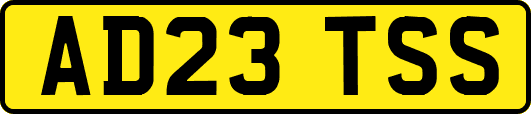 AD23TSS