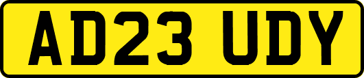 AD23UDY