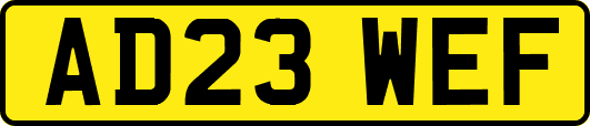 AD23WEF