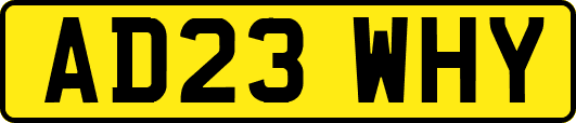 AD23WHY