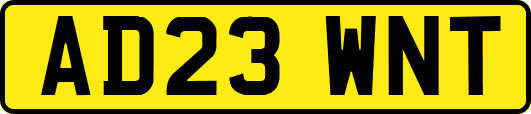 AD23WNT
