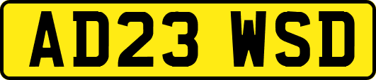AD23WSD