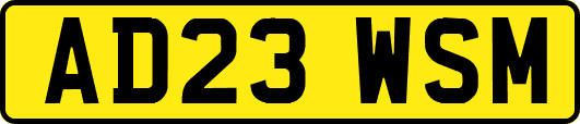 AD23WSM