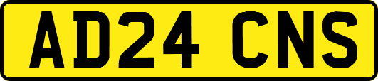AD24CNS