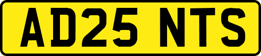 AD25NTS