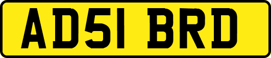 AD51BRD