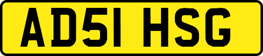 AD51HSG