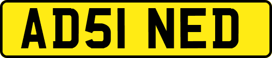 AD51NED