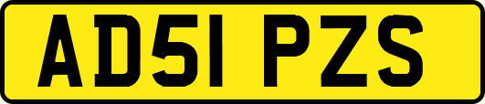 AD51PZS