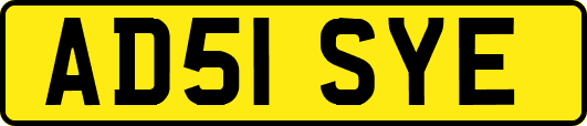 AD51SYE