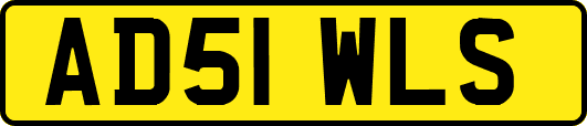 AD51WLS