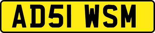 AD51WSM