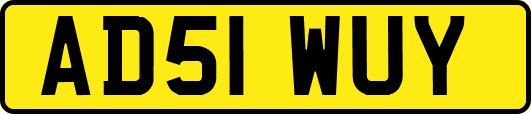 AD51WUY