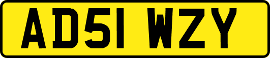 AD51WZY