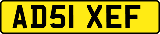AD51XEF