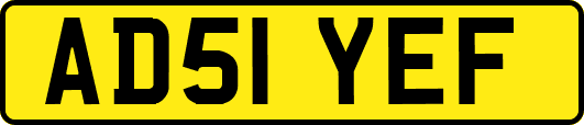 AD51YEF
