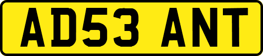 AD53ANT