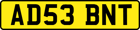 AD53BNT
