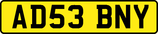 AD53BNY