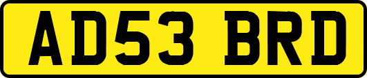 AD53BRD