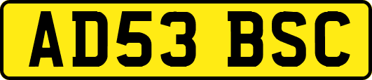 AD53BSC