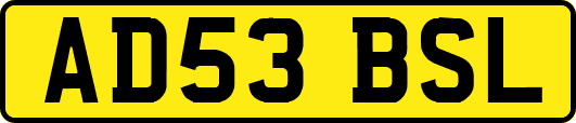 AD53BSL