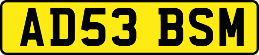 AD53BSM