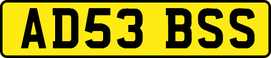 AD53BSS