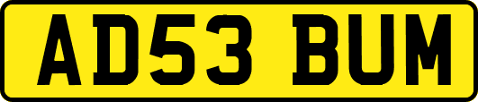 AD53BUM