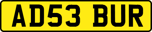 AD53BUR