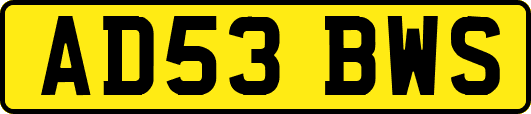 AD53BWS