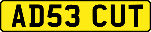 AD53CUT