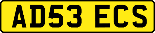 AD53ECS