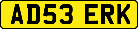AD53ERK