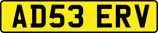 AD53ERV