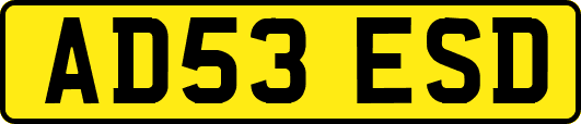 AD53ESD